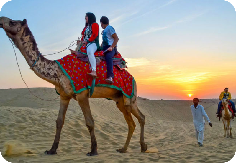 Half-Day Camel Safari